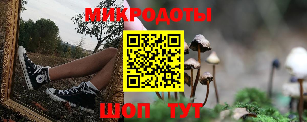 Галлюциногенные грибы мицелий  Галлюциногенные грибы прущие грибы  Городец  Вход с VPN 